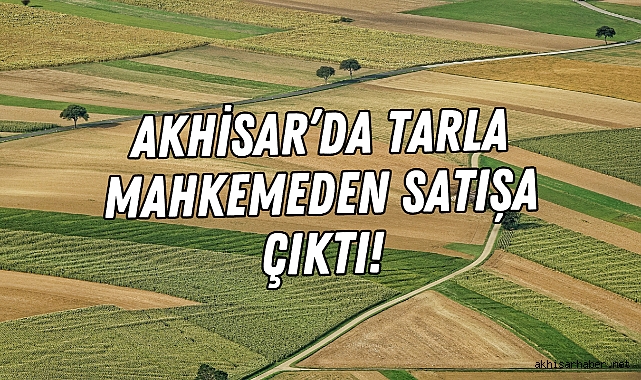 Akhisarda tarla mahkemeden satışa çıktı Genel Akhisar Haber